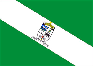 Bandeira de Cruz Machado