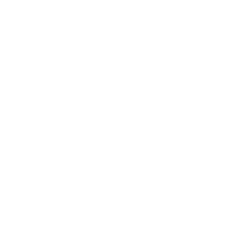 Ícone
