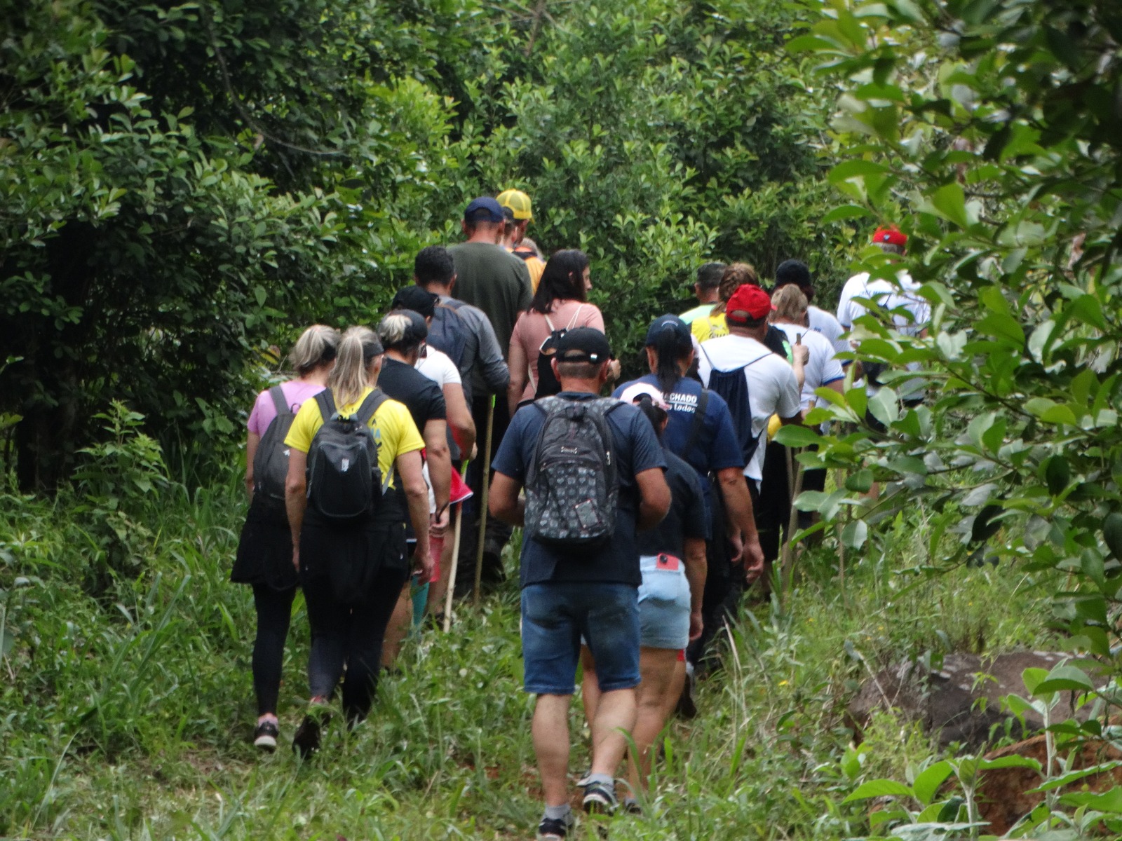 Participantes durante a 1ª Caminhada na Natureza – Rota Irmã Ambrosia em Cruz Machado, caminhando por trilhas no meio da vegetação